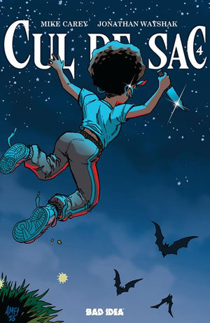 Cul De Sac #4 (OF 5) Tony Fleecs Cursed Mirror Cover