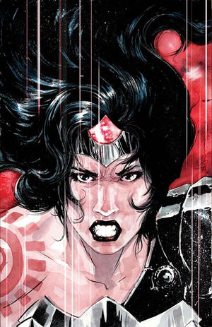 Absolute Wonder Woman #14 Dustin Nguyen Card Stock Cover