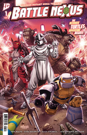 Teenage Mutant Ninja Turtles: Battle Nexus #1  Santolouco Cover