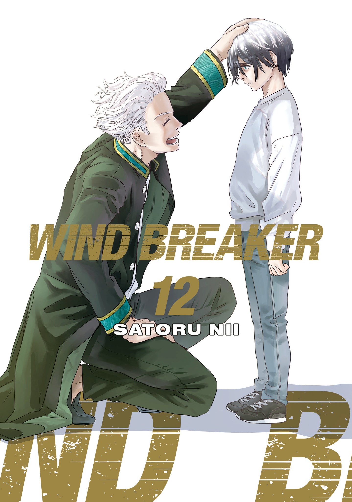 Wind Breaker Volume 12