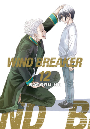 Wind Breaker Volume 12