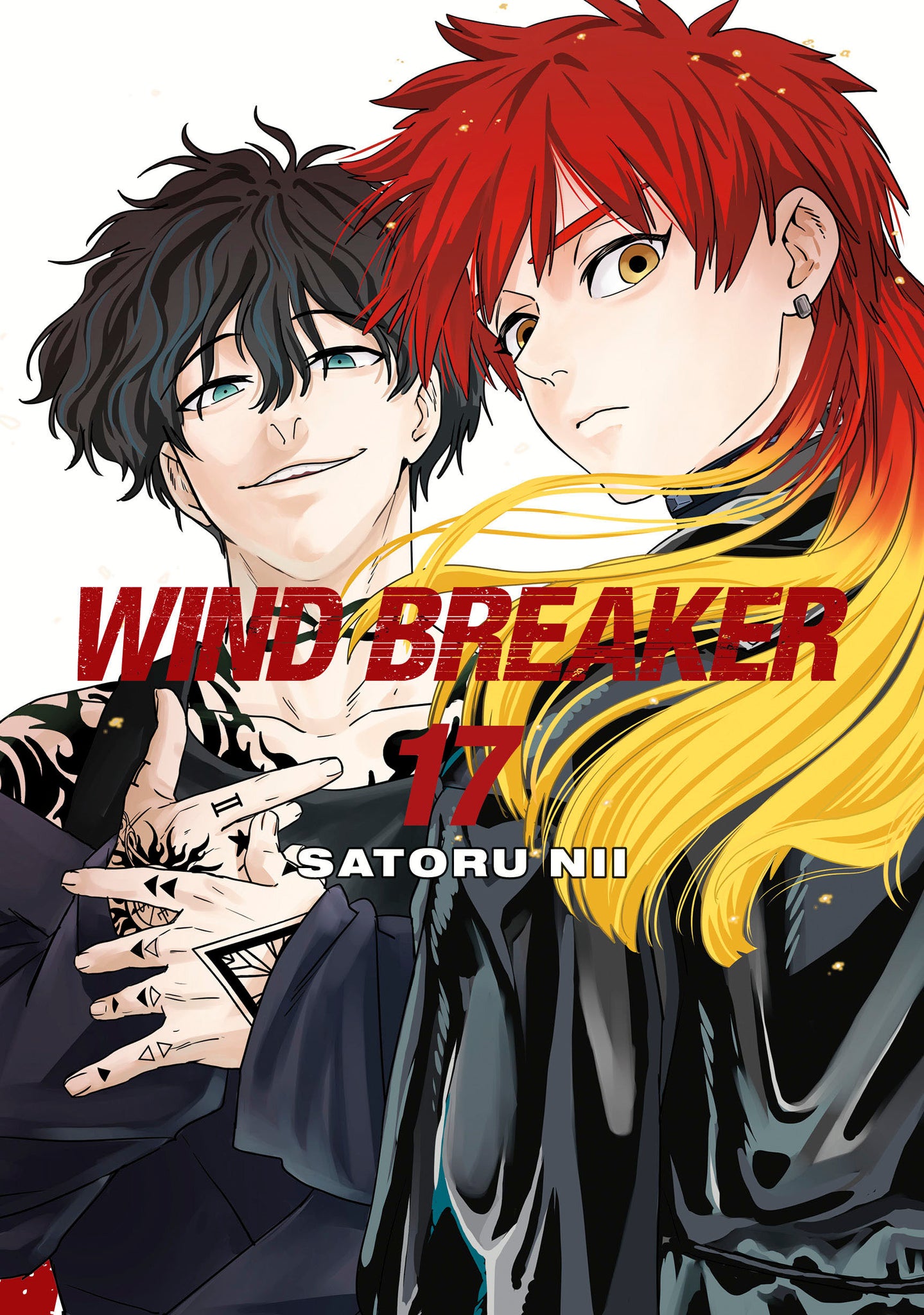 WIND BREAKER   Volume 17