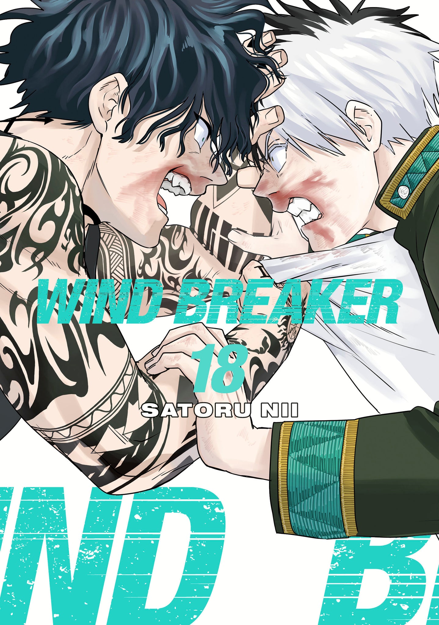 Wind Breaker Volume  18